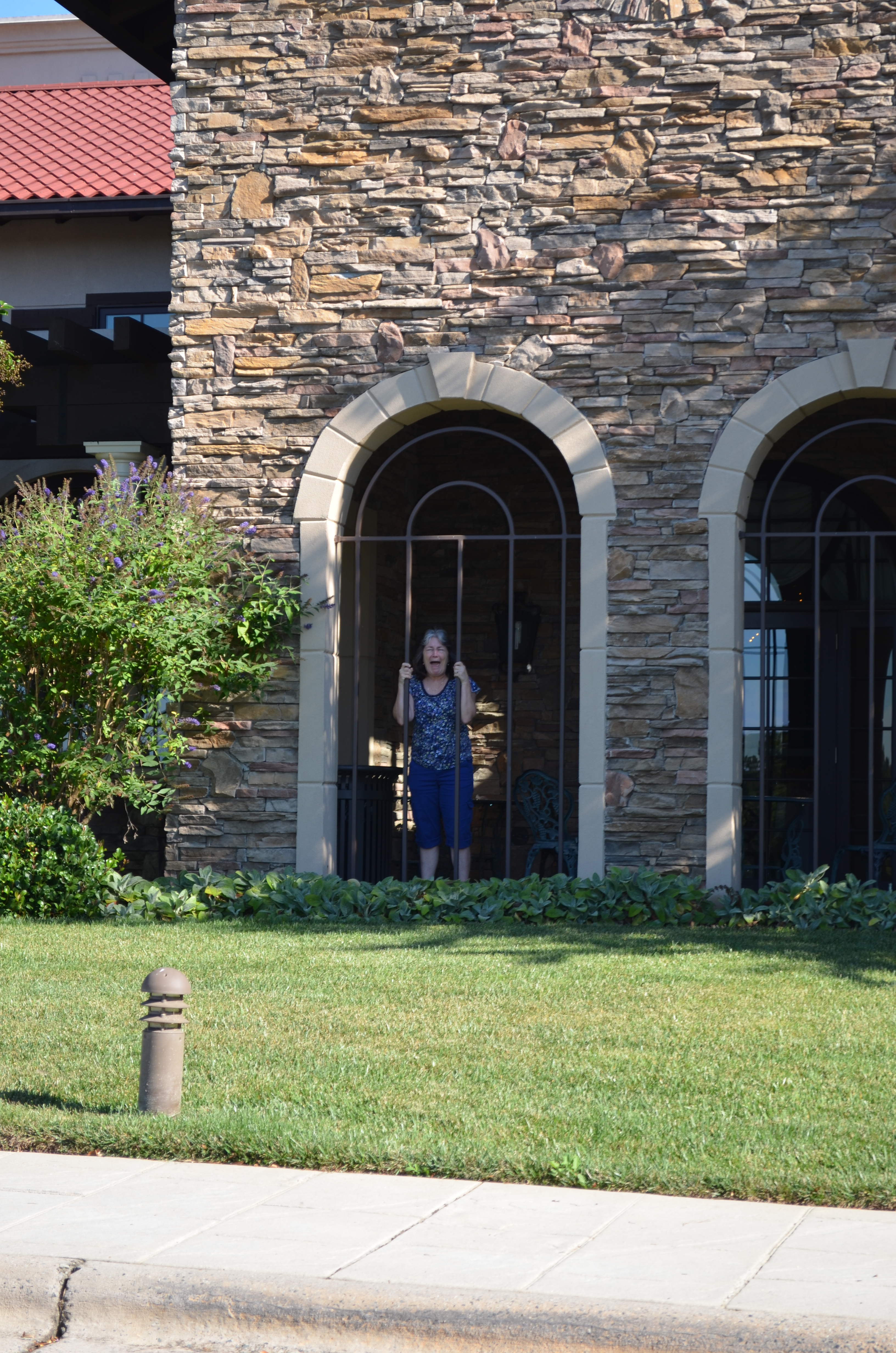 ./2013/Lexington NC/VDSC_3017.JPG